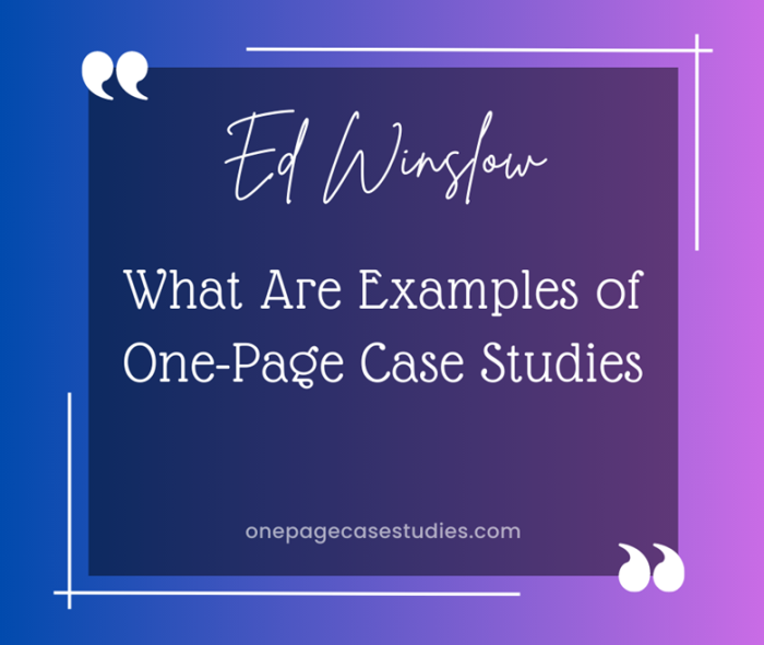 Examples Of Case Studies The One Page Case Studies Model